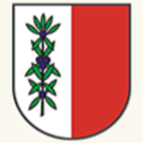 ESV Mieming ESV Mieming